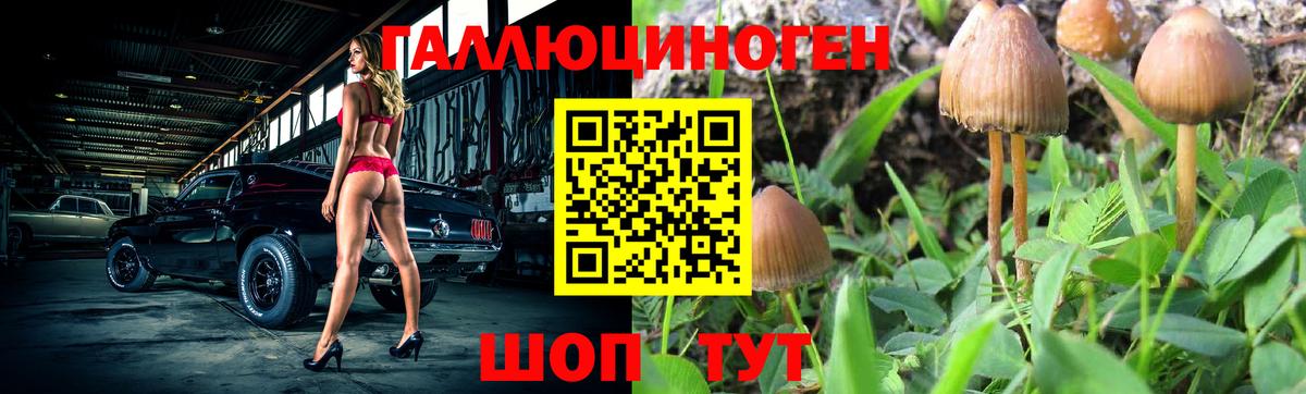 Ярославль  Галлюциногенные грибы MAGIC MUSHROOMS  Псилоцибиновые грибы MAGIC MUSHROOMS  Вход с VPN 